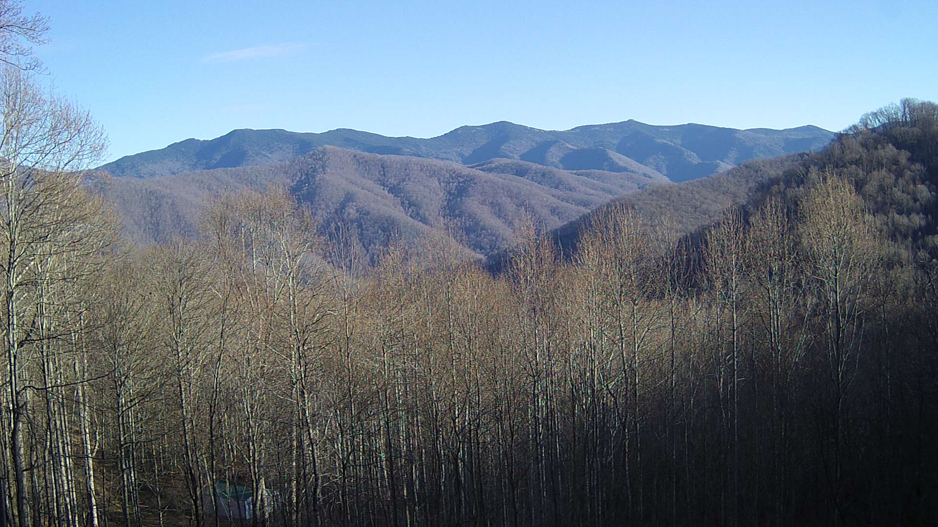 click for next image... slideshow image