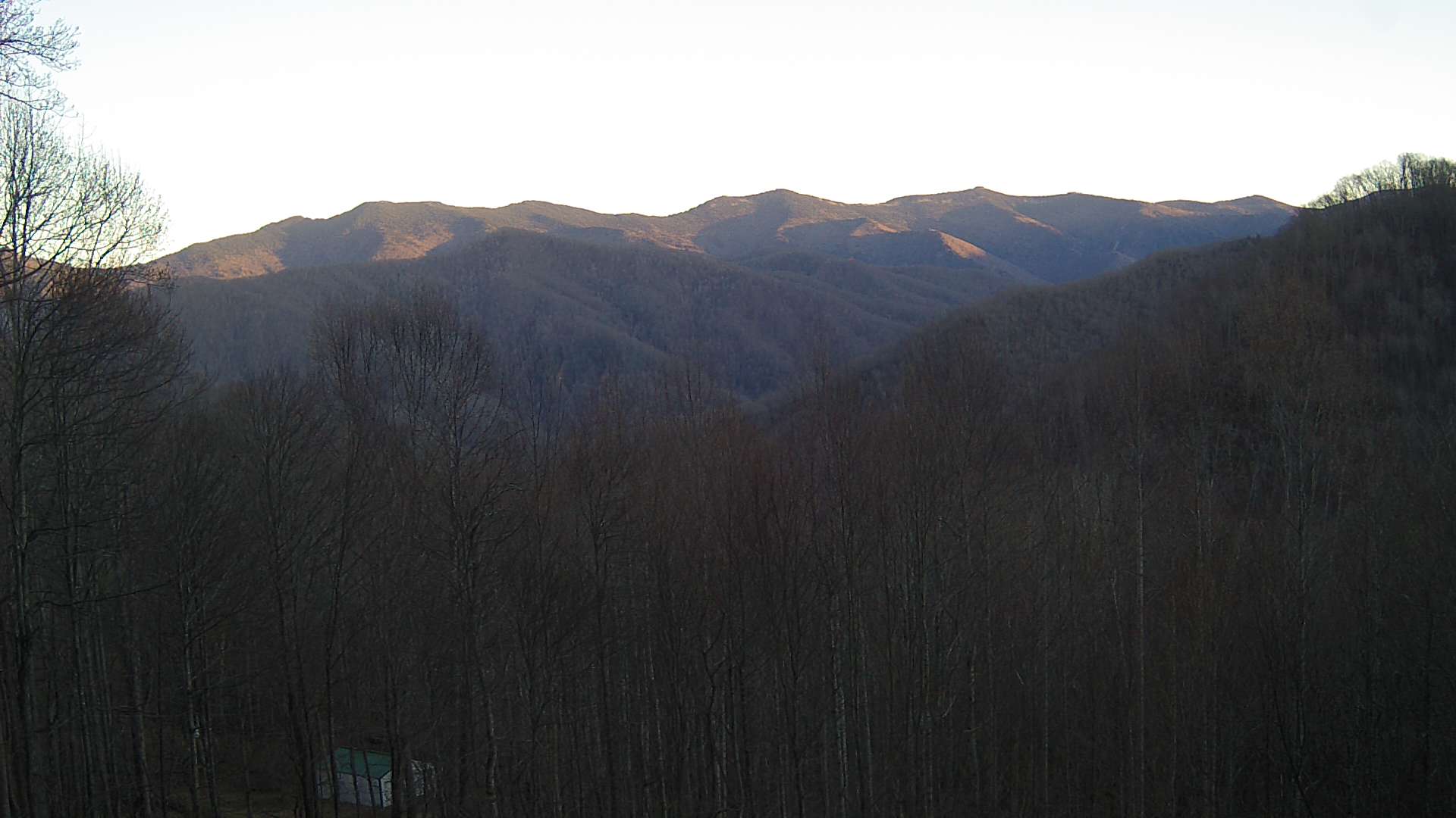 click for next image... slideshow image