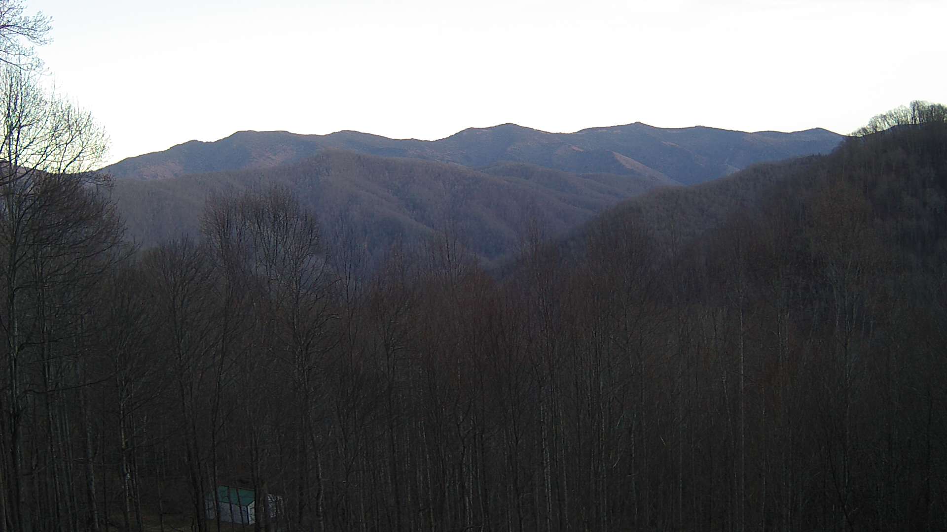 click for next image... slideshow image