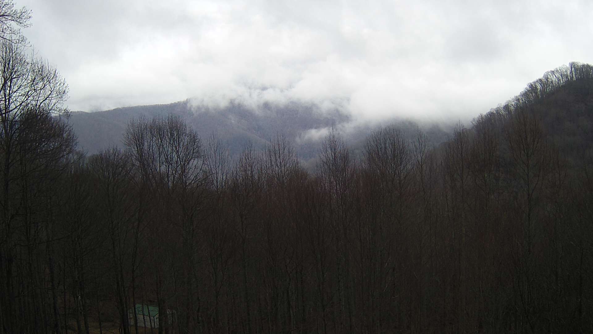 click for next image... slideshow image