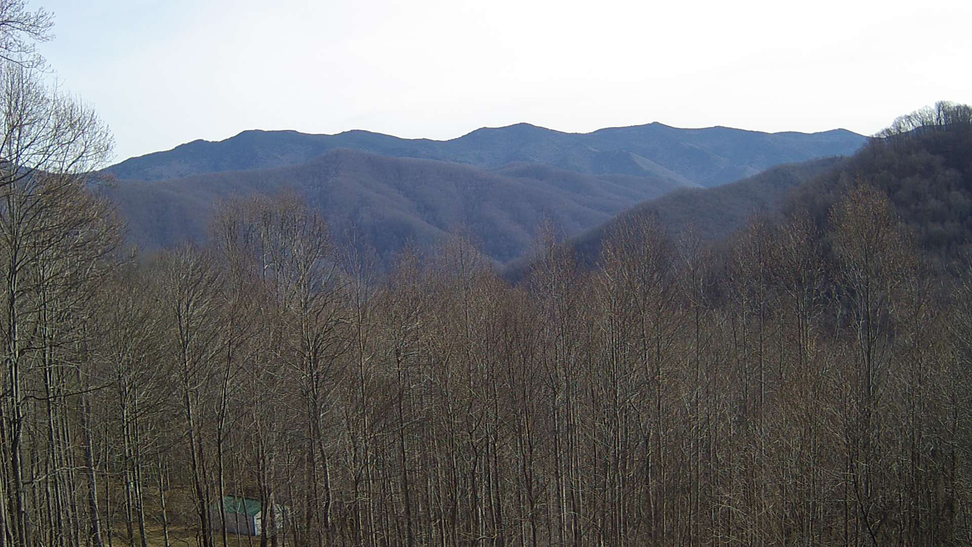 click for next image... slideshow image