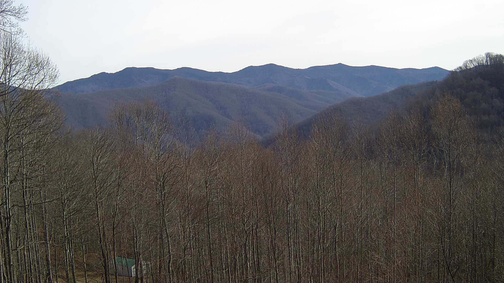 click for next image... slideshow image