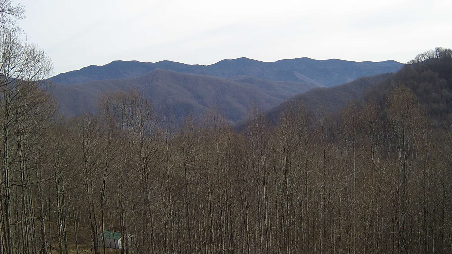 click for next image... slideshow image