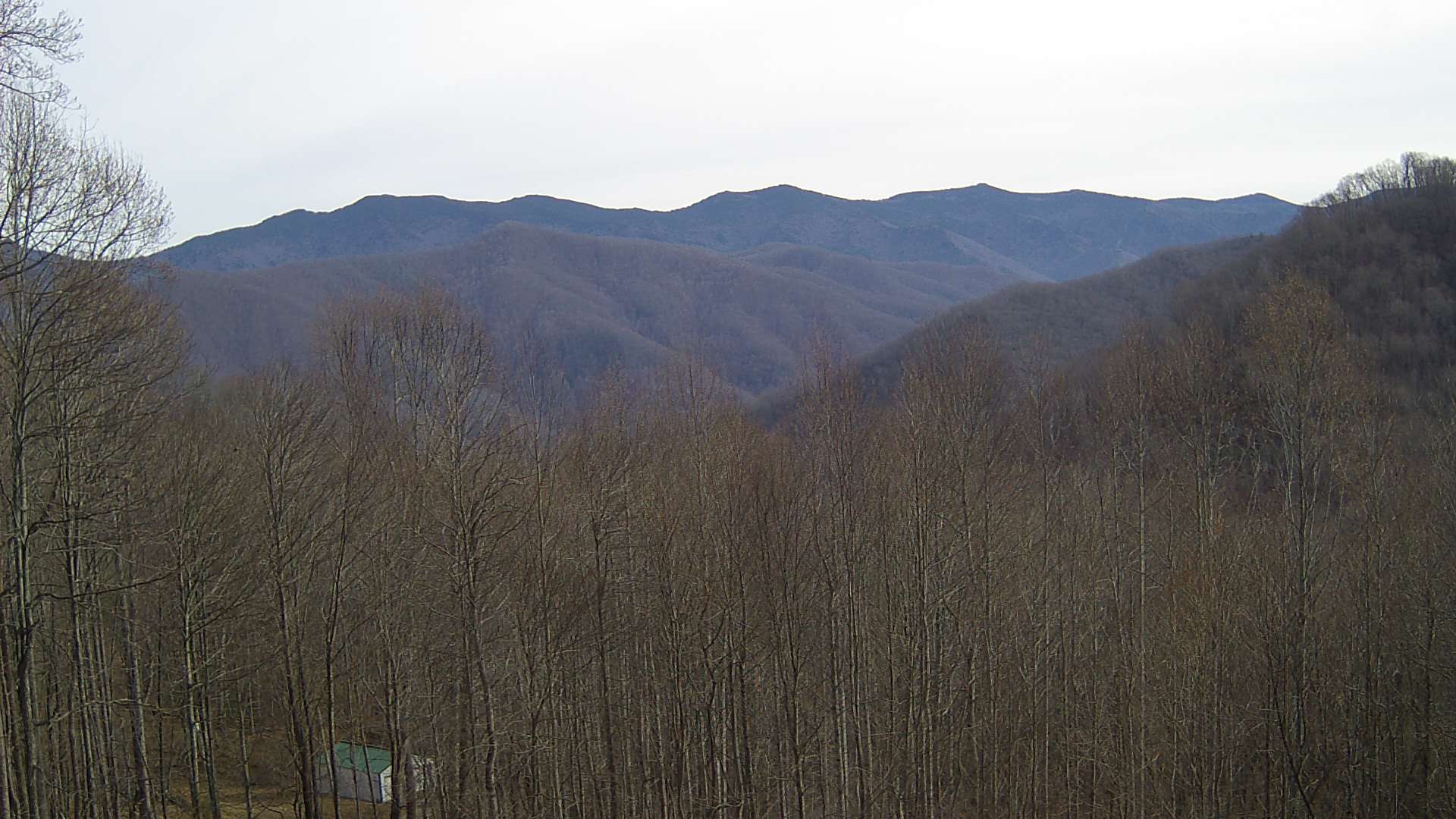 click for next image... slideshow image