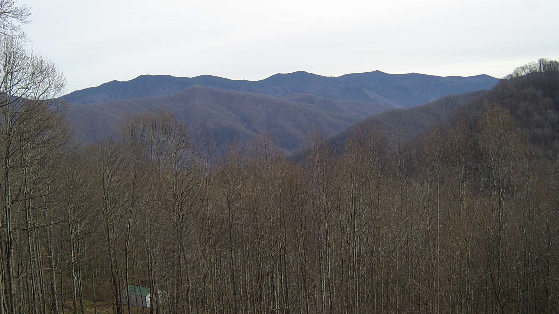 click for next image... slideshow image