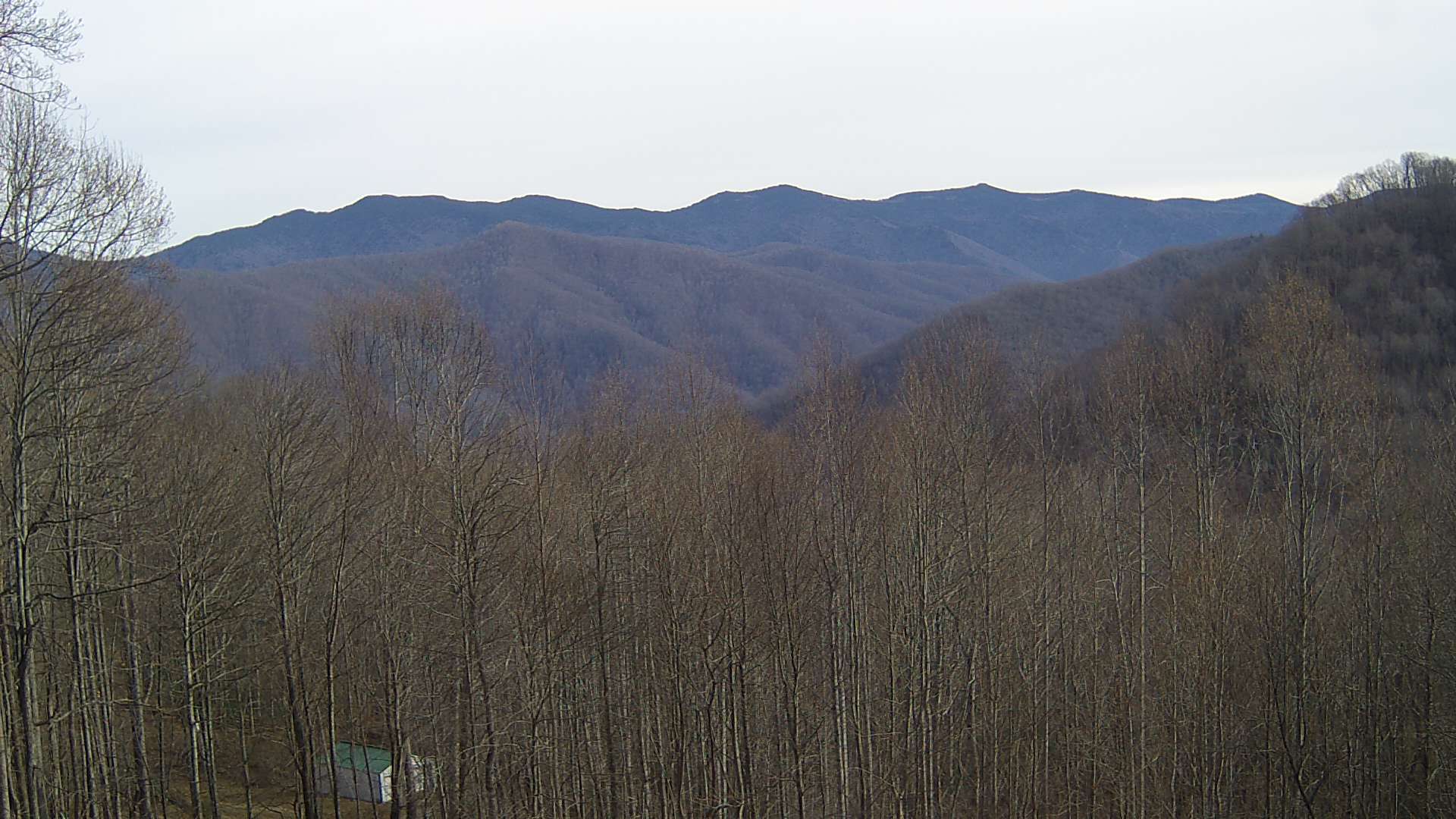 click for next image... slideshow image