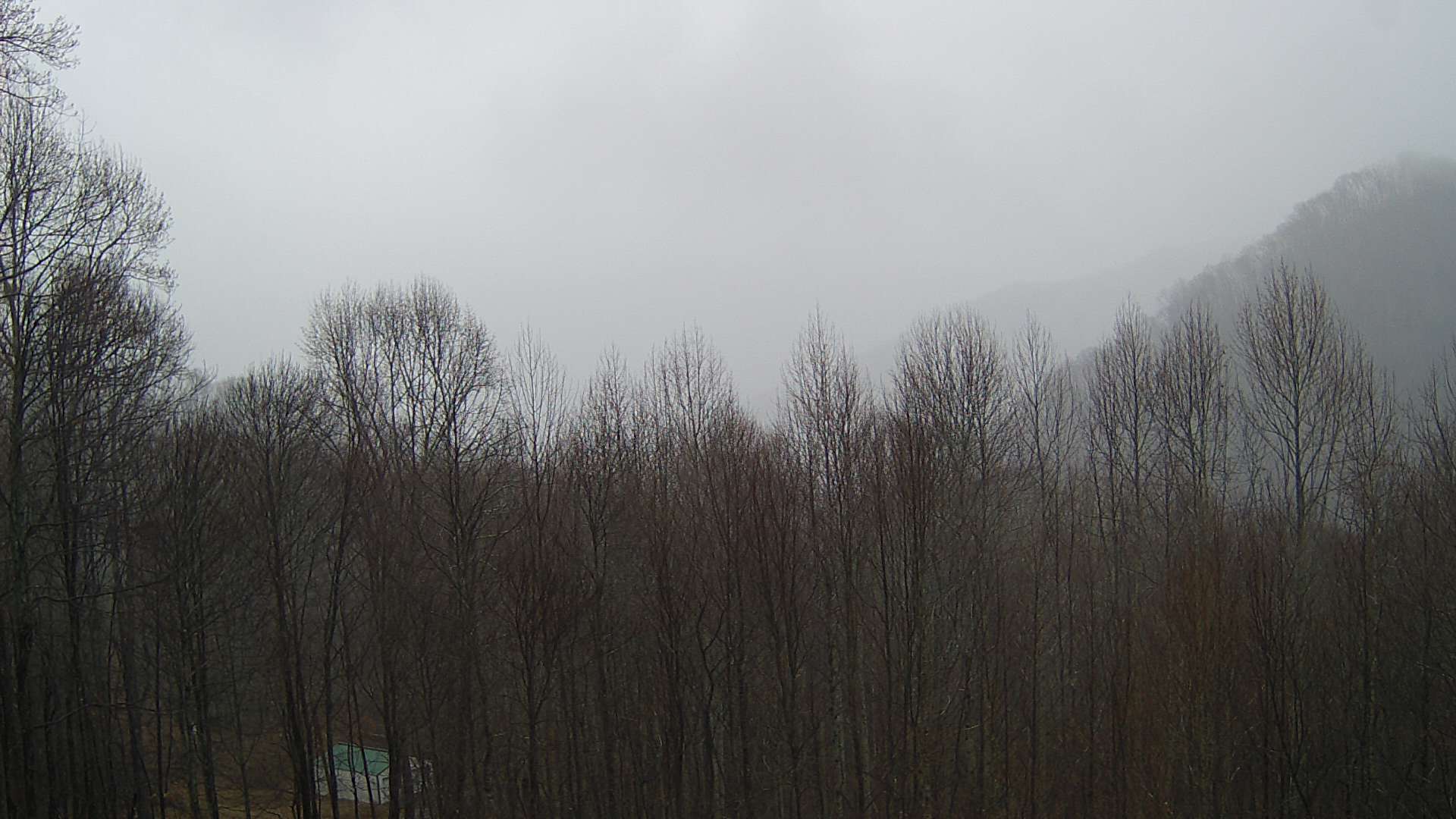 click for next image... slideshow image