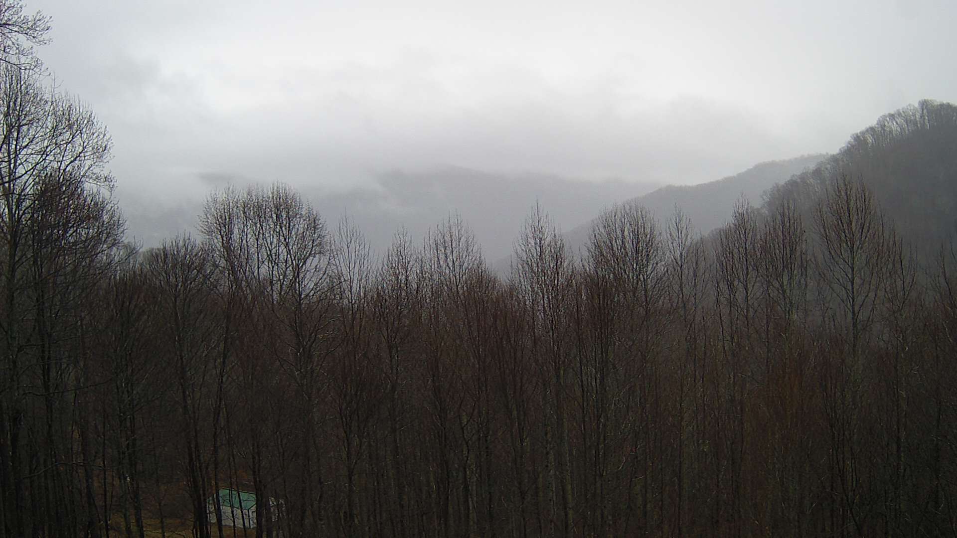 click for next image... slideshow image