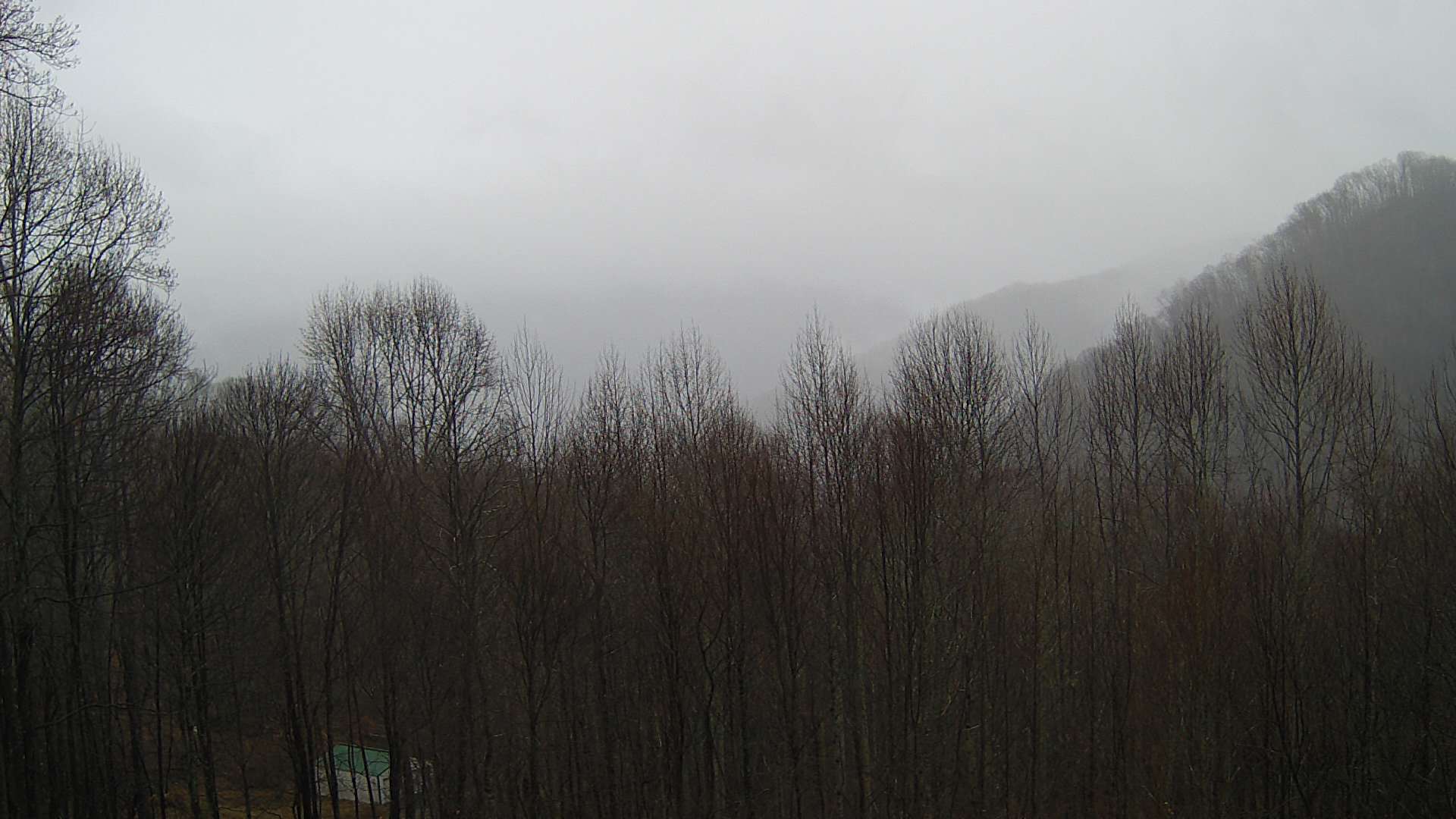 click for next image... slideshow image