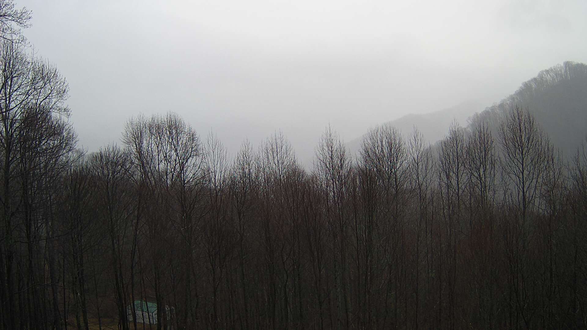 click for next image... slideshow image