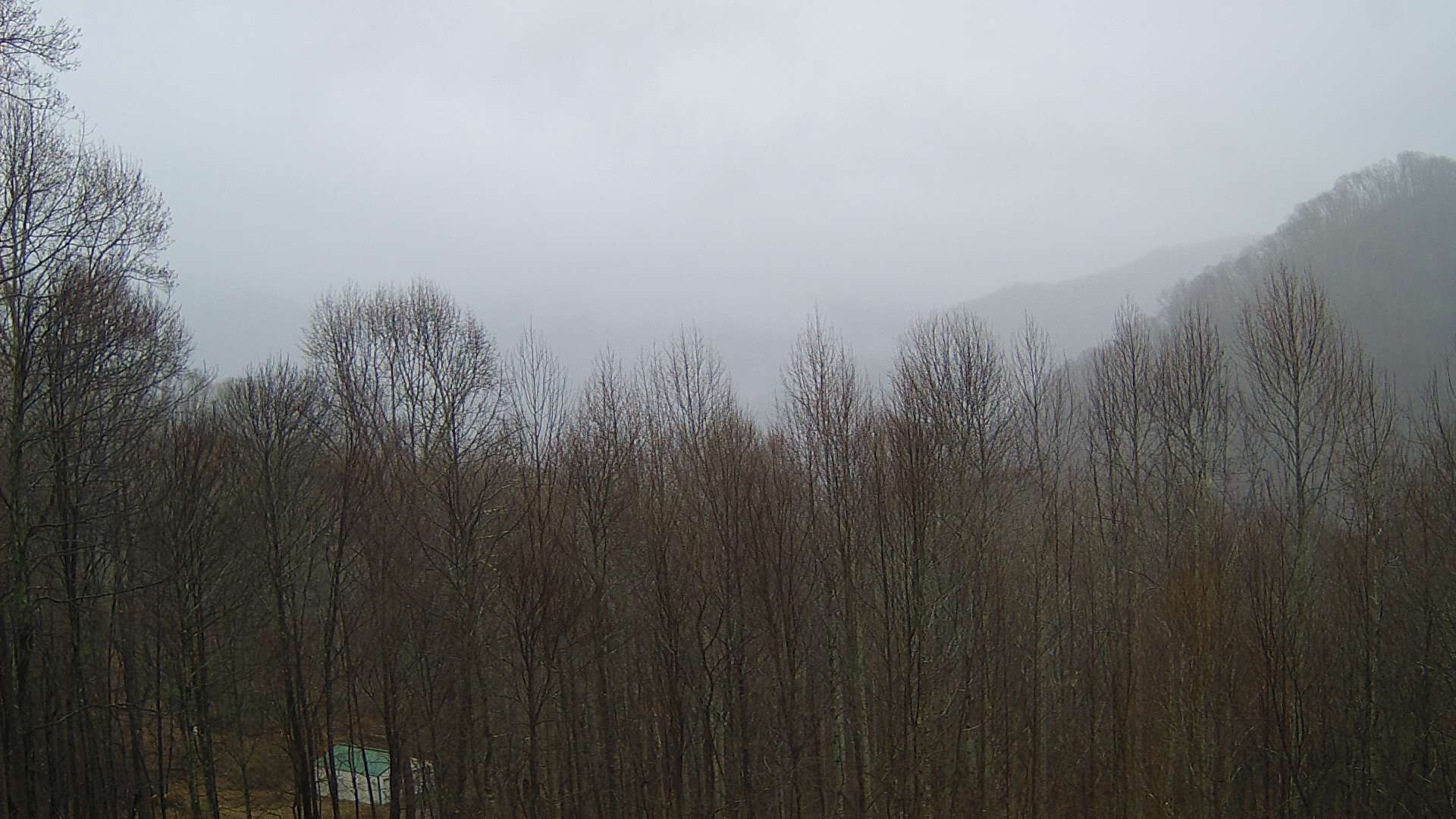 click for next image... slideshow image