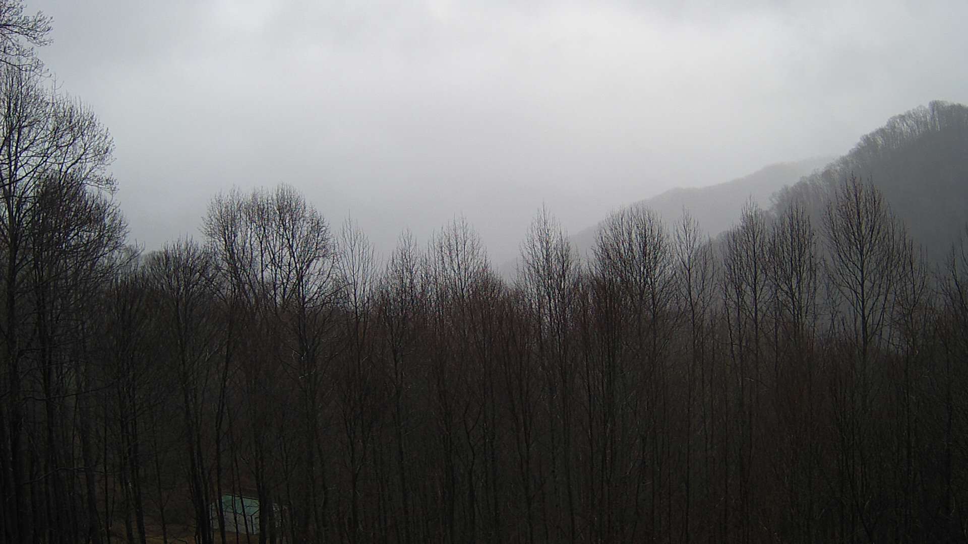 click for next image... slideshow image