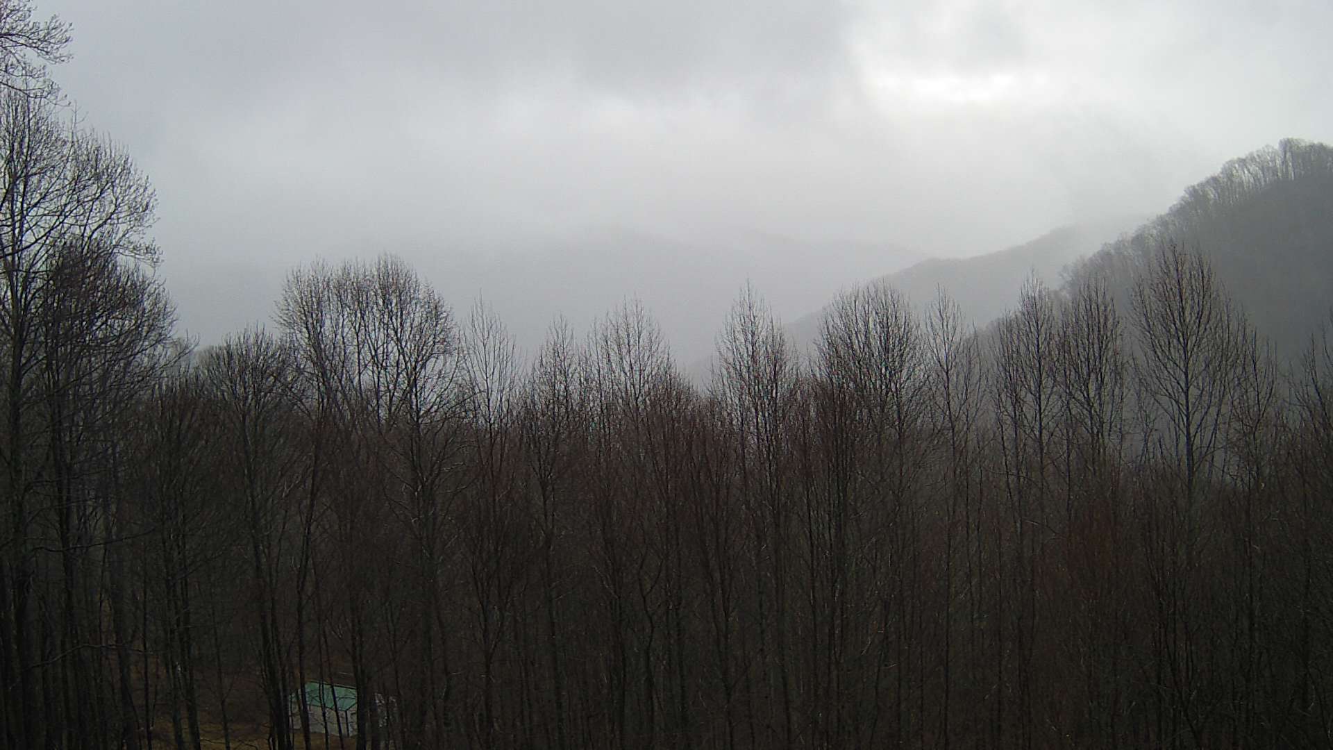 click for next image... slideshow image