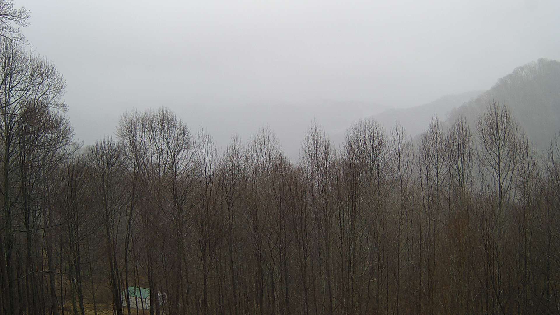 click for next image... slideshow image