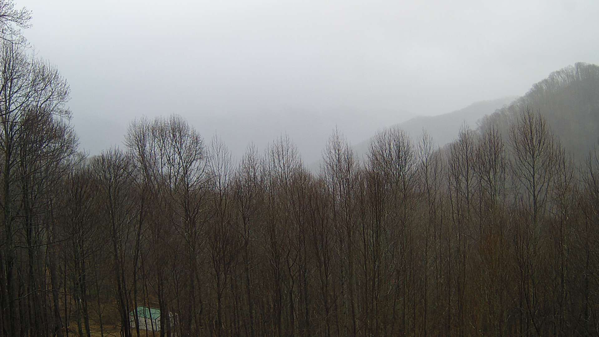 click for next image... slideshow image