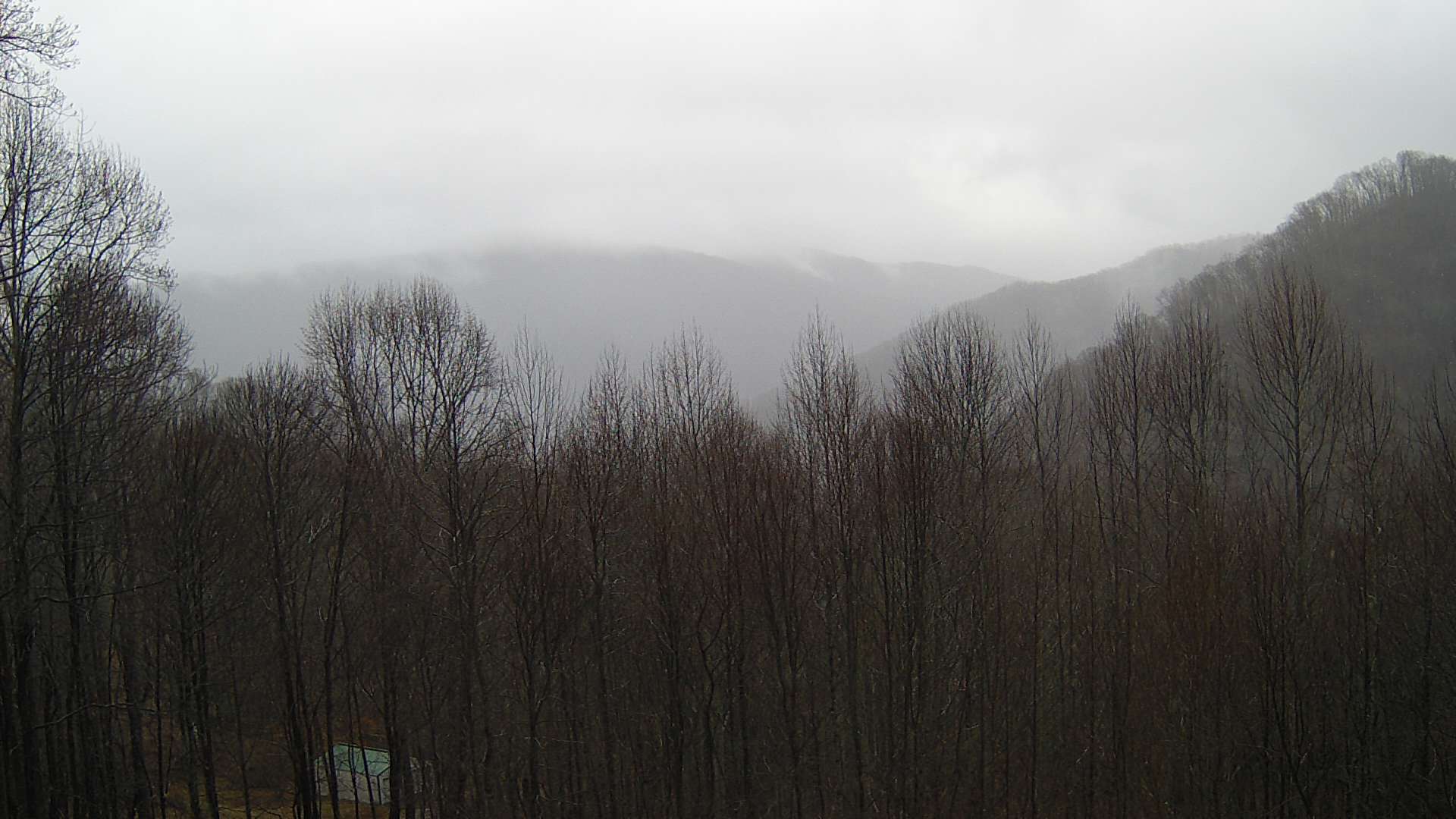 click for next image... slideshow image