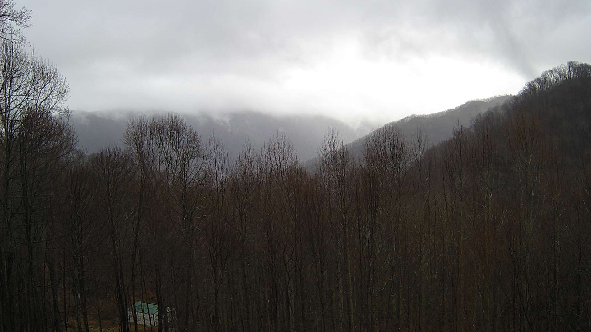 click for next image... slideshow image