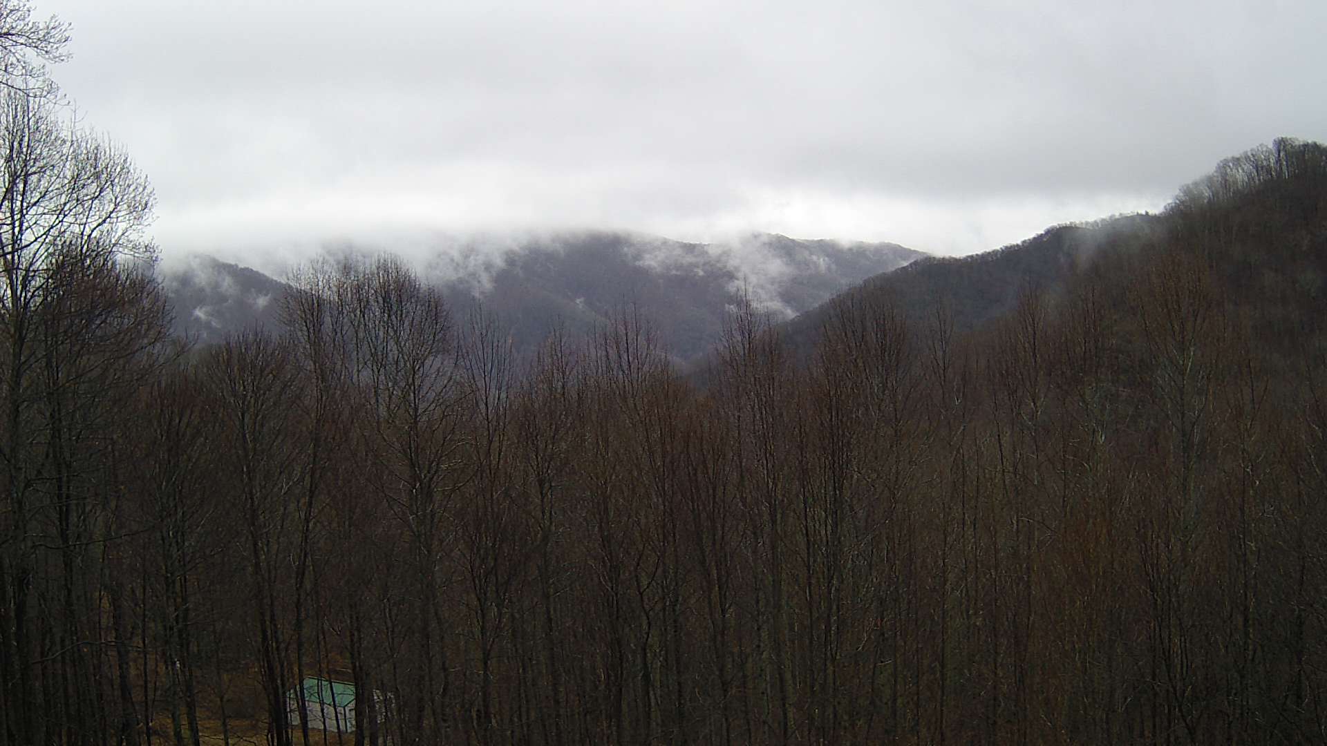 click for next image... slideshow image