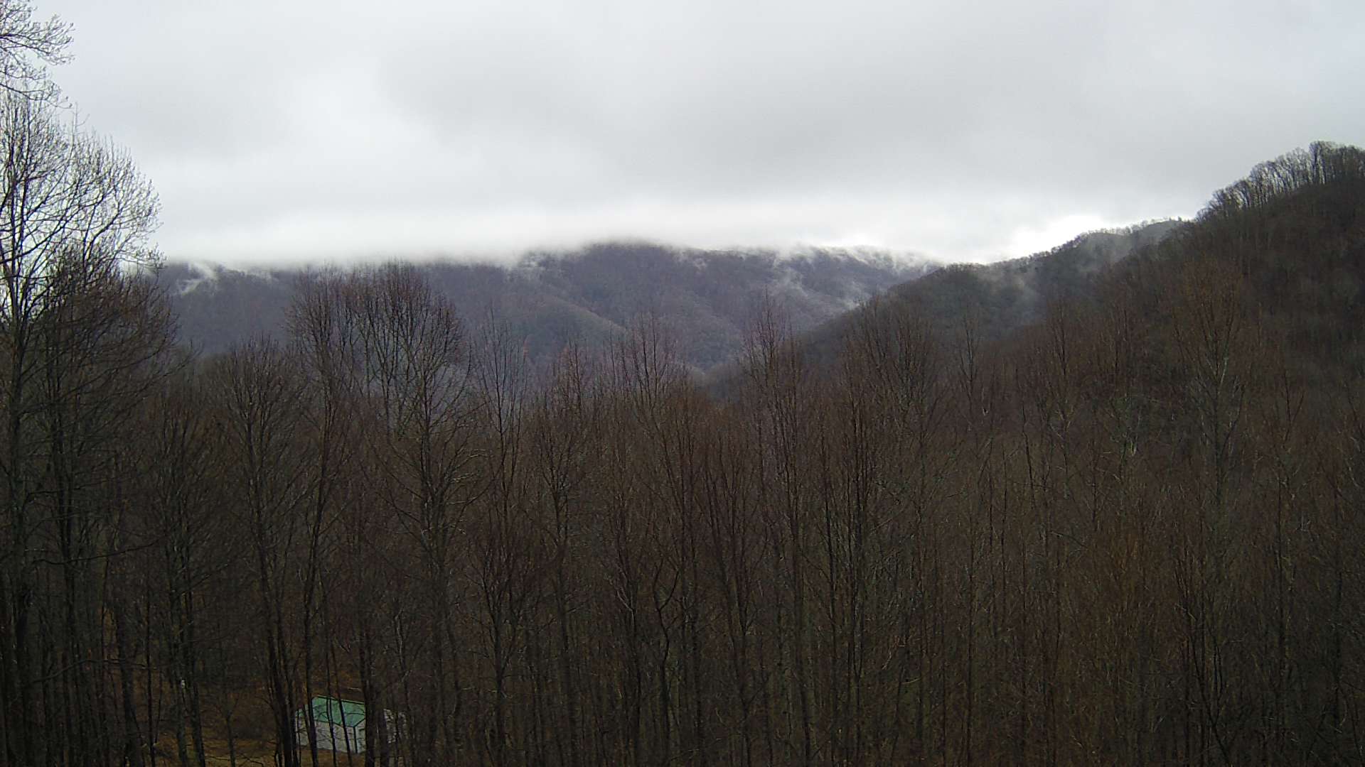 click for next image... slideshow image