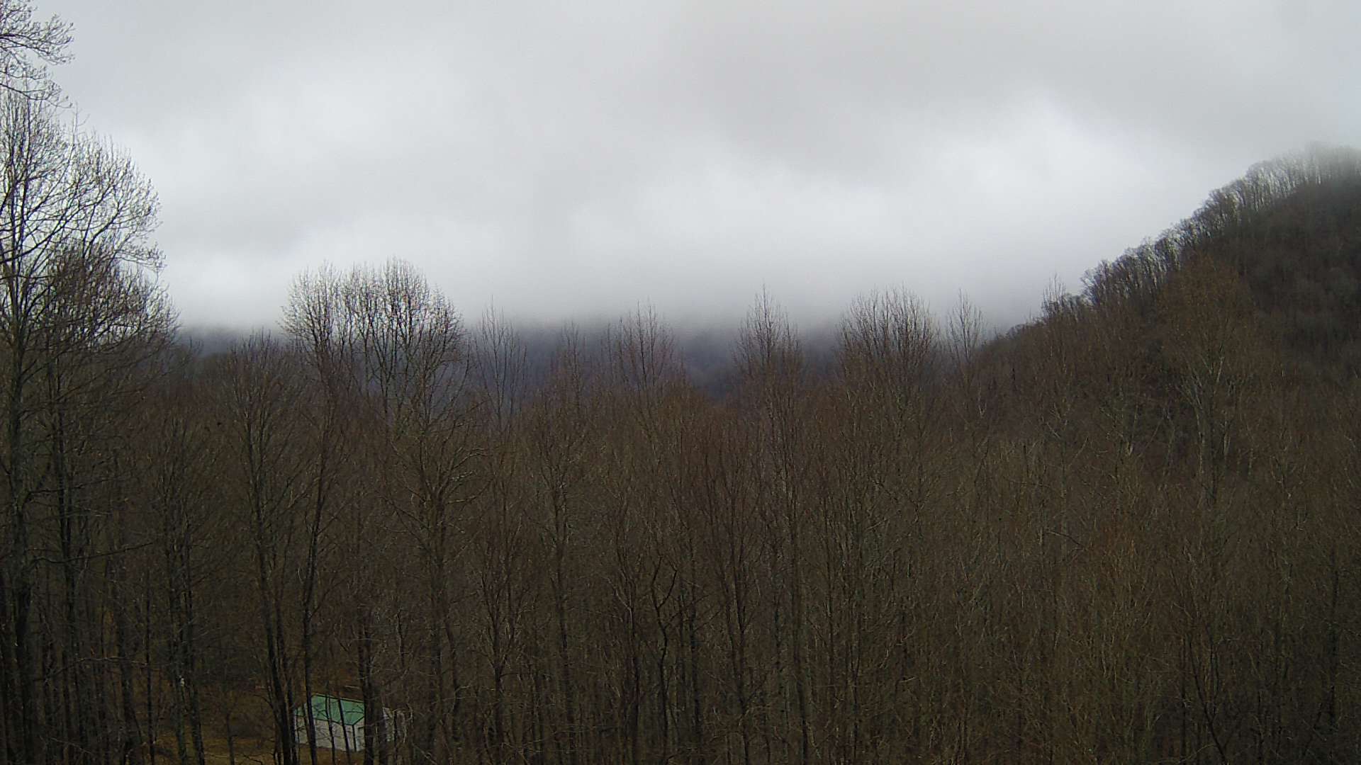 click for next image... slideshow image