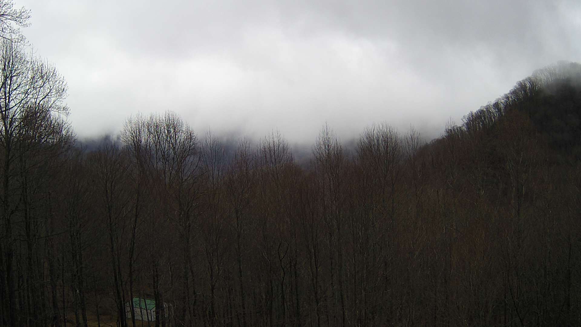 click for next image... slideshow image