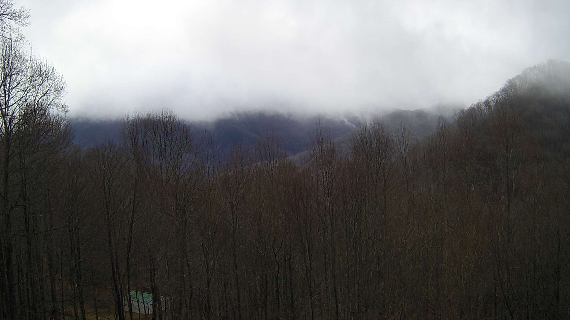 click for next image... slideshow image