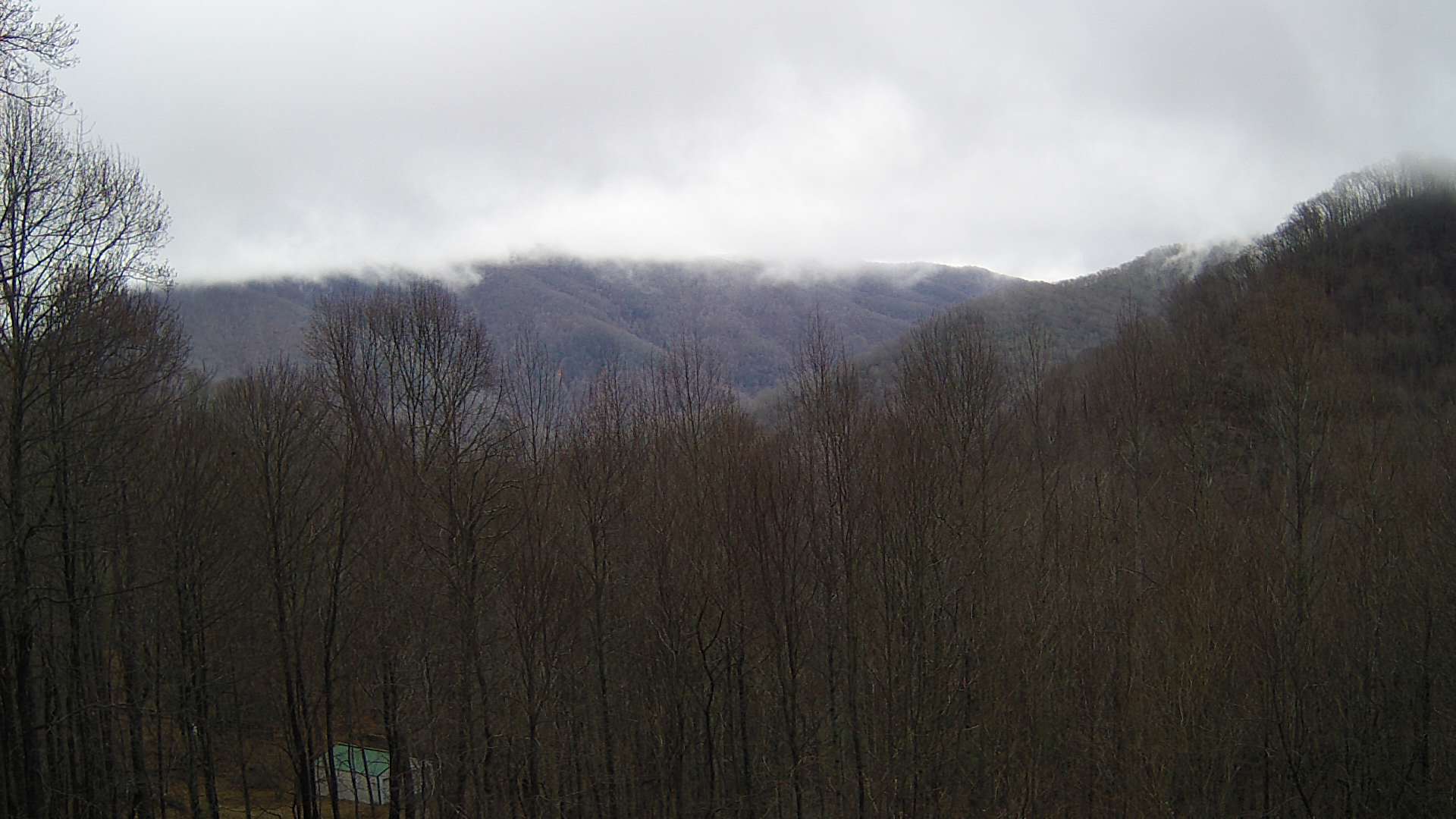 click for next image... slideshow image