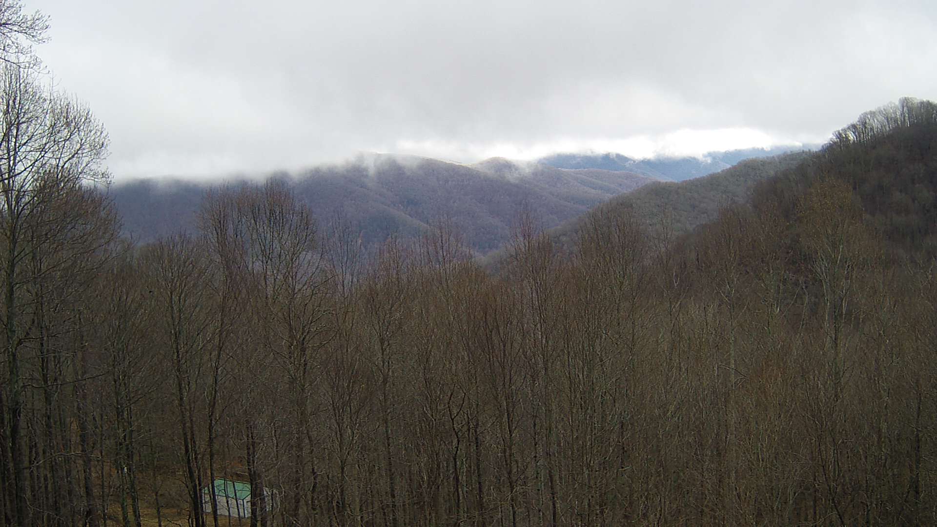 click for next image... slideshow image