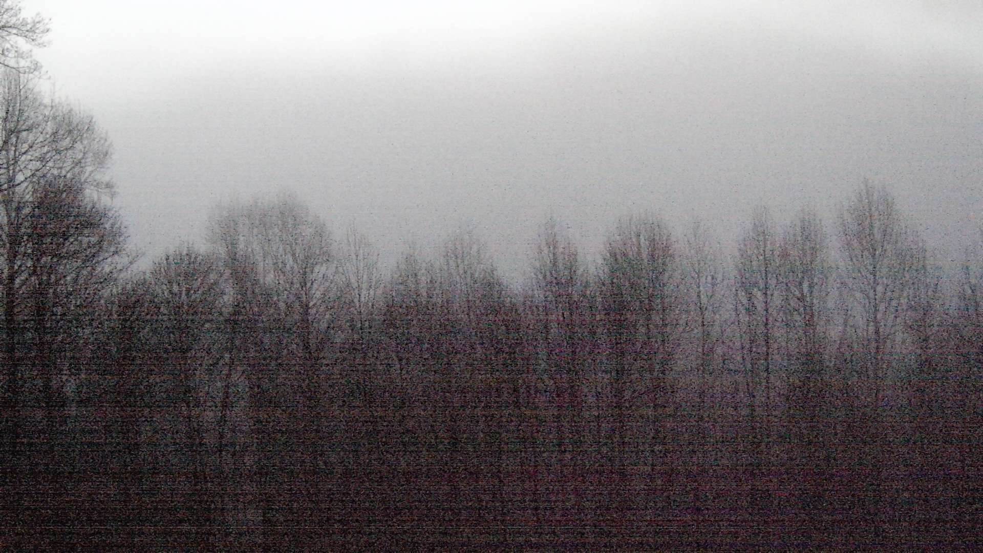 click for next image... slideshow image