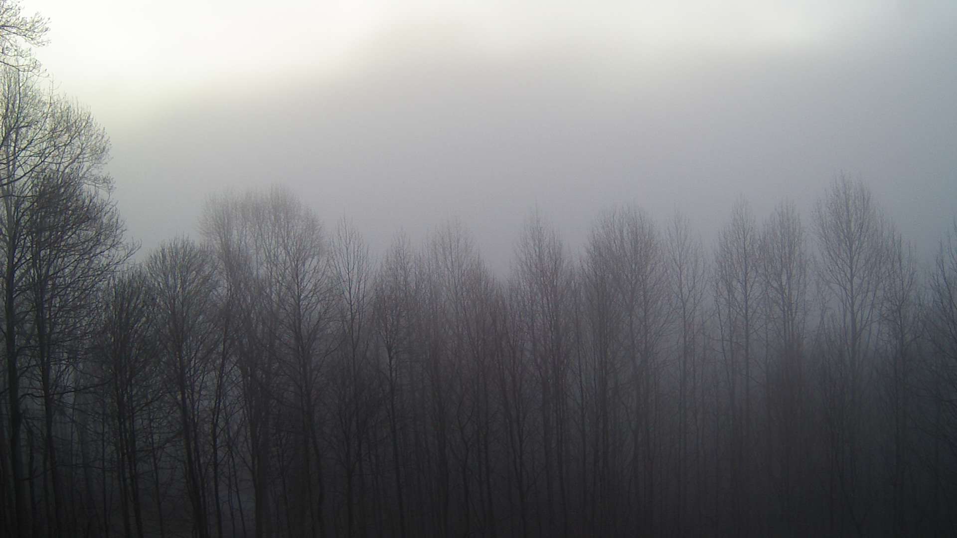 click for next image... slideshow image