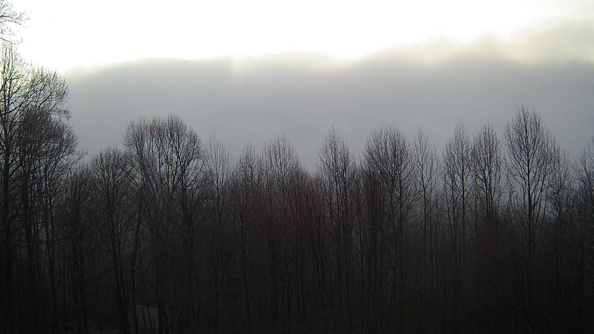 click for next image... slideshow image