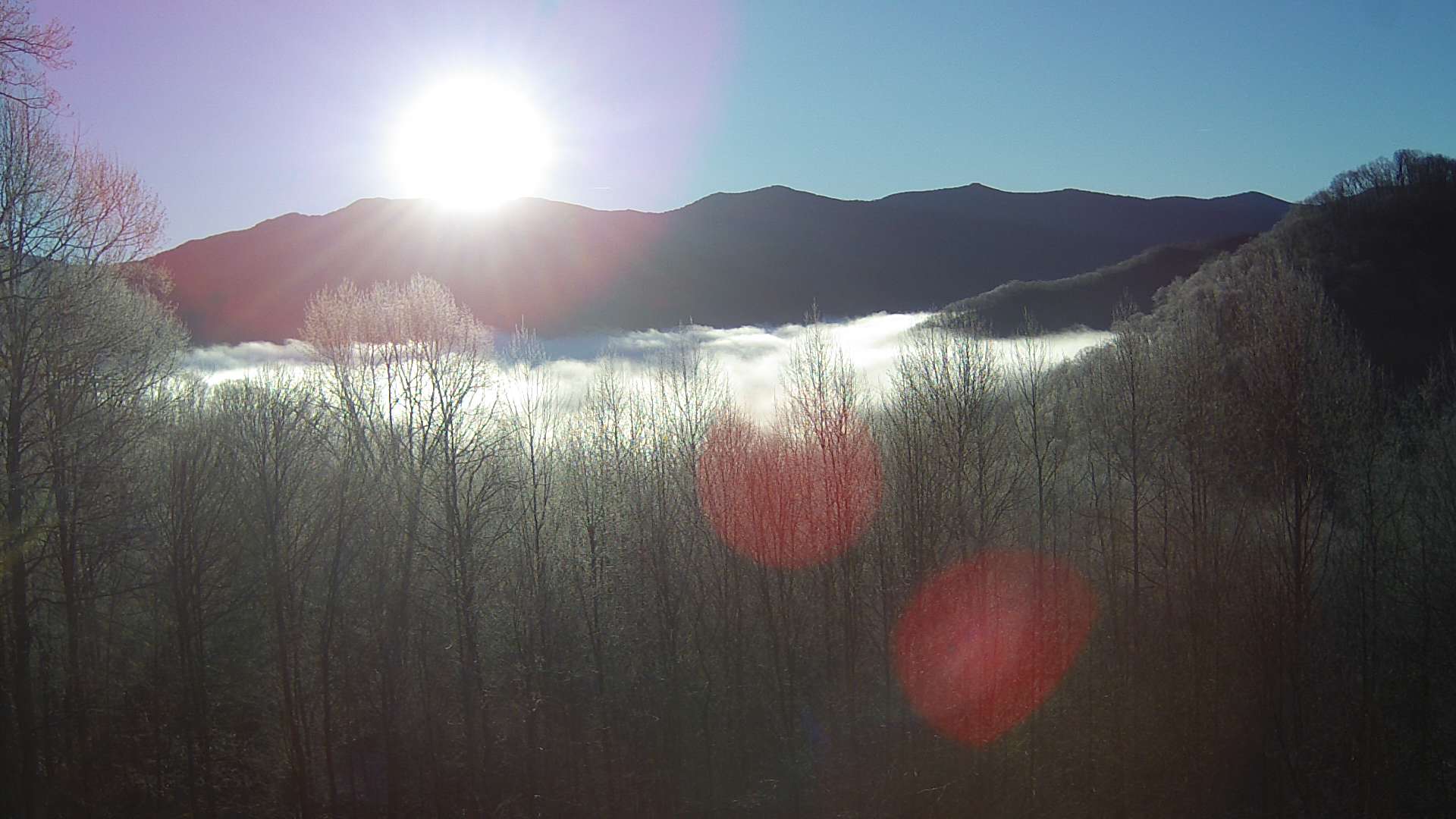 click for next image... slideshow image