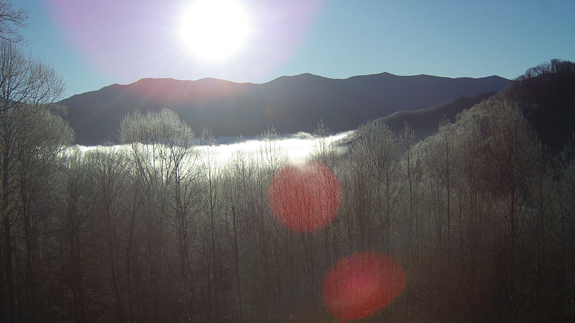 click for next image... slideshow image