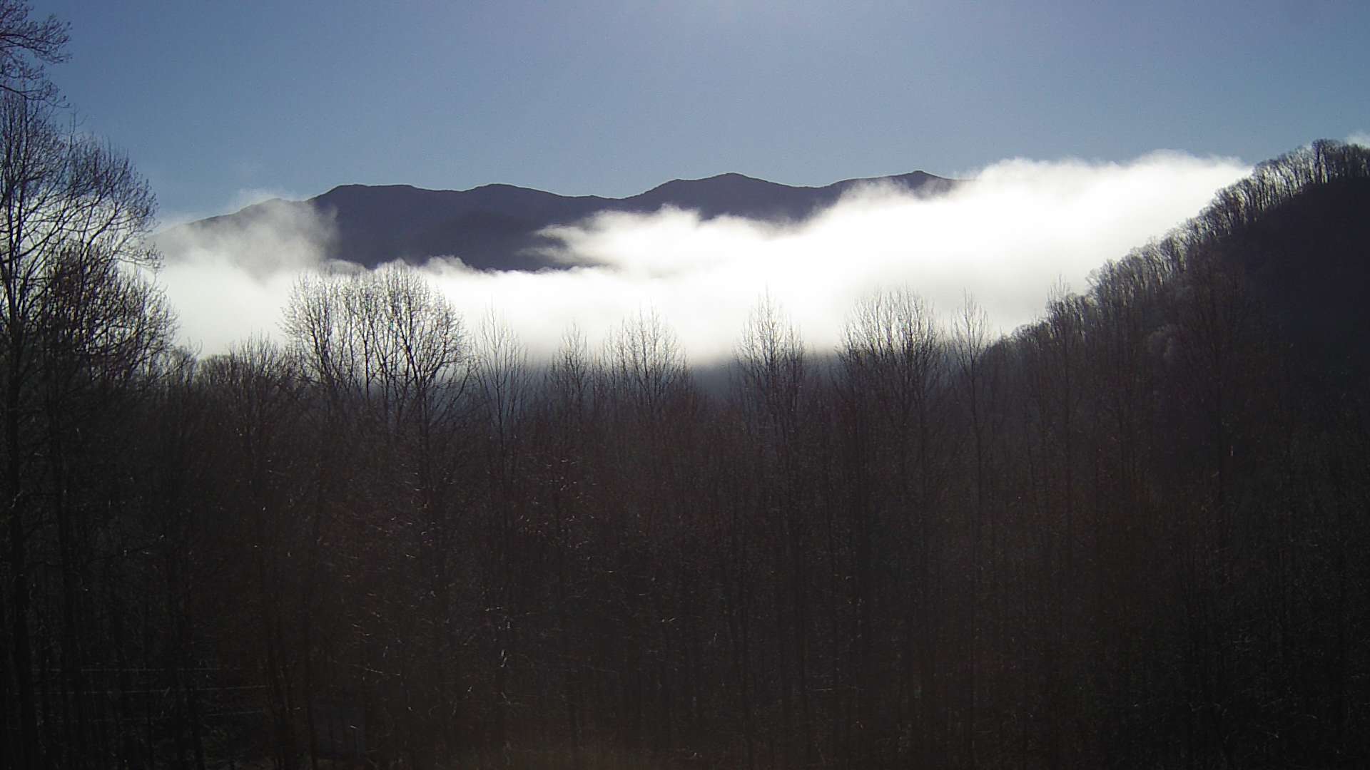 click for next image... slideshow image