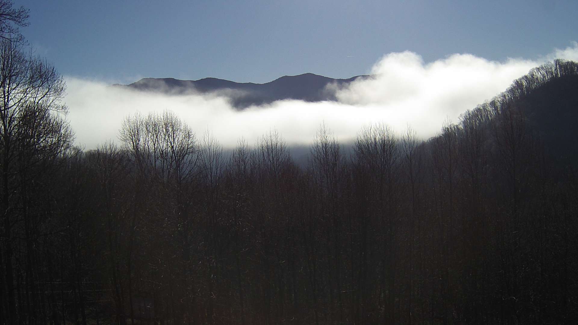 click for next image... slideshow image