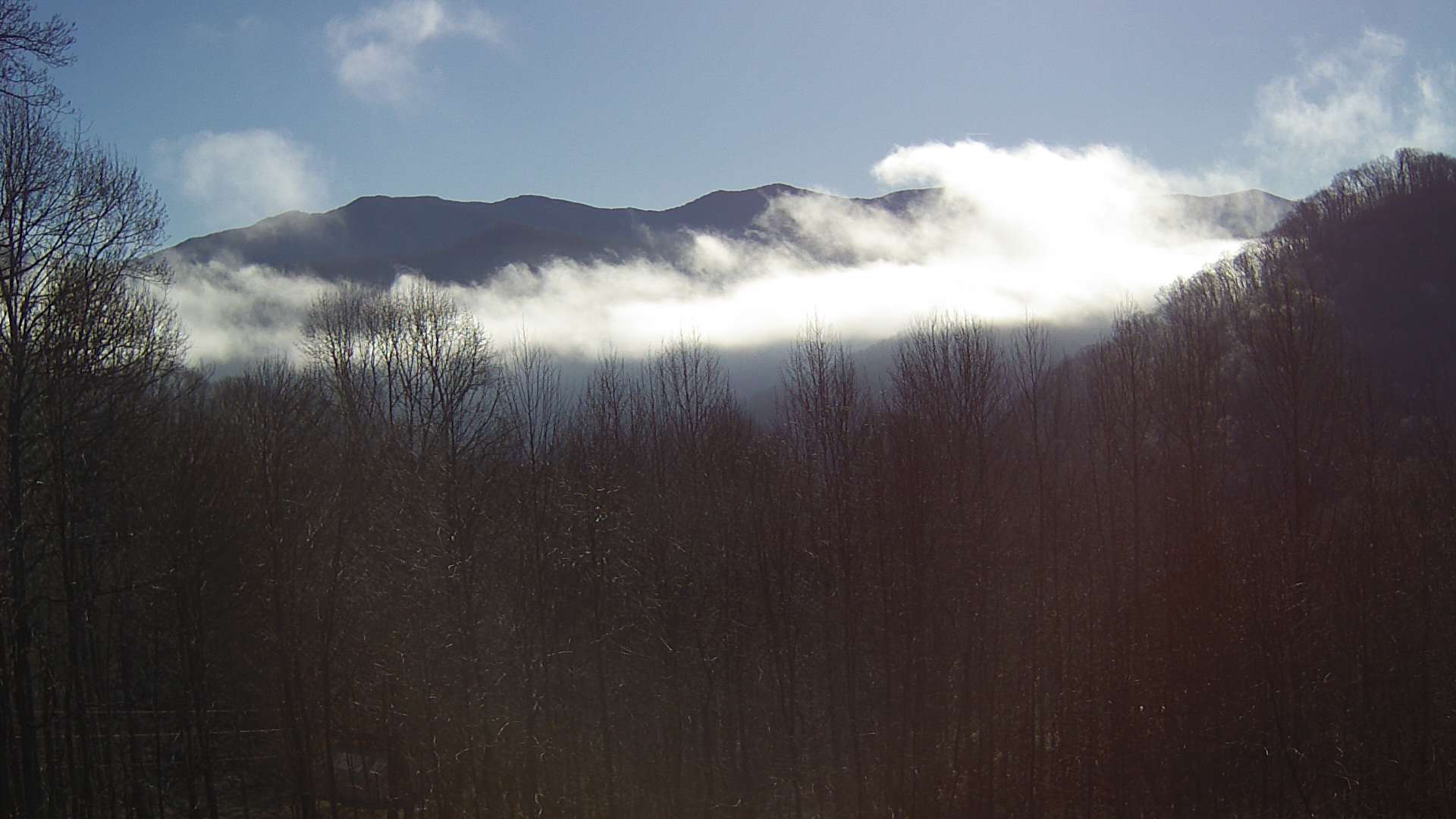 click for next image... slideshow image