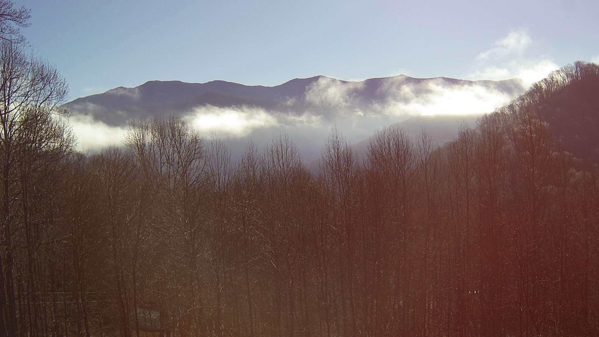 click for next image... slideshow image