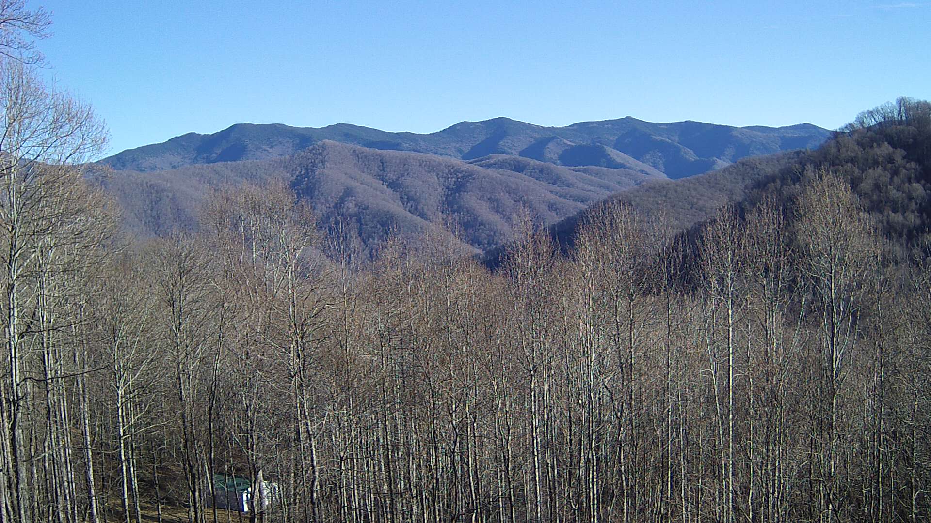 click for next image... slideshow image