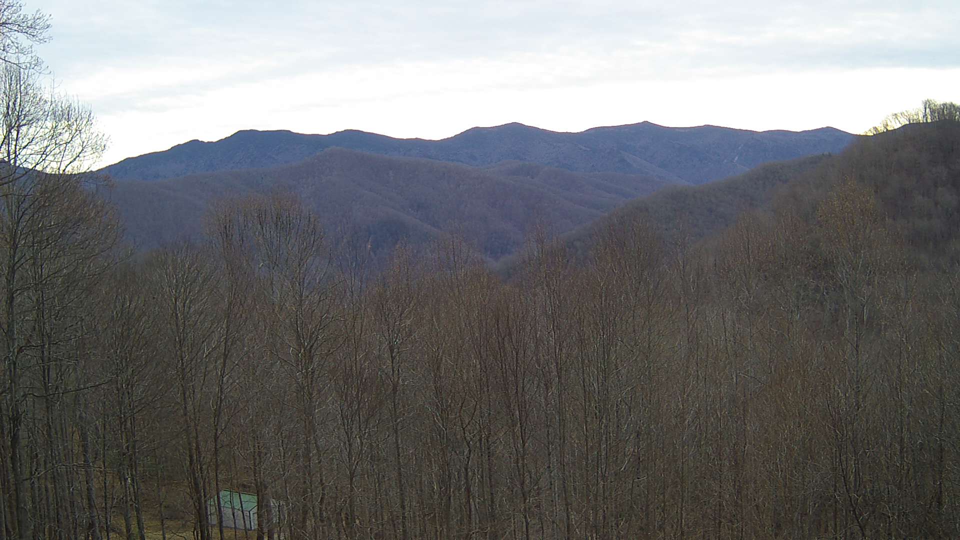 click for next image... slideshow image