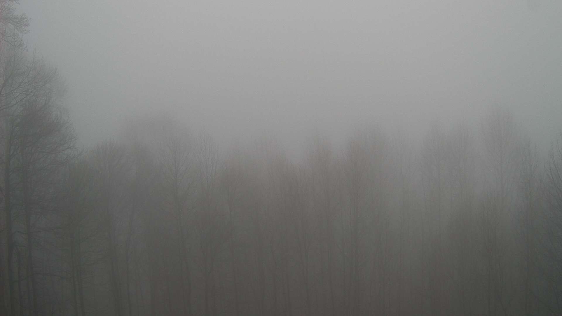 click for next image... slideshow image