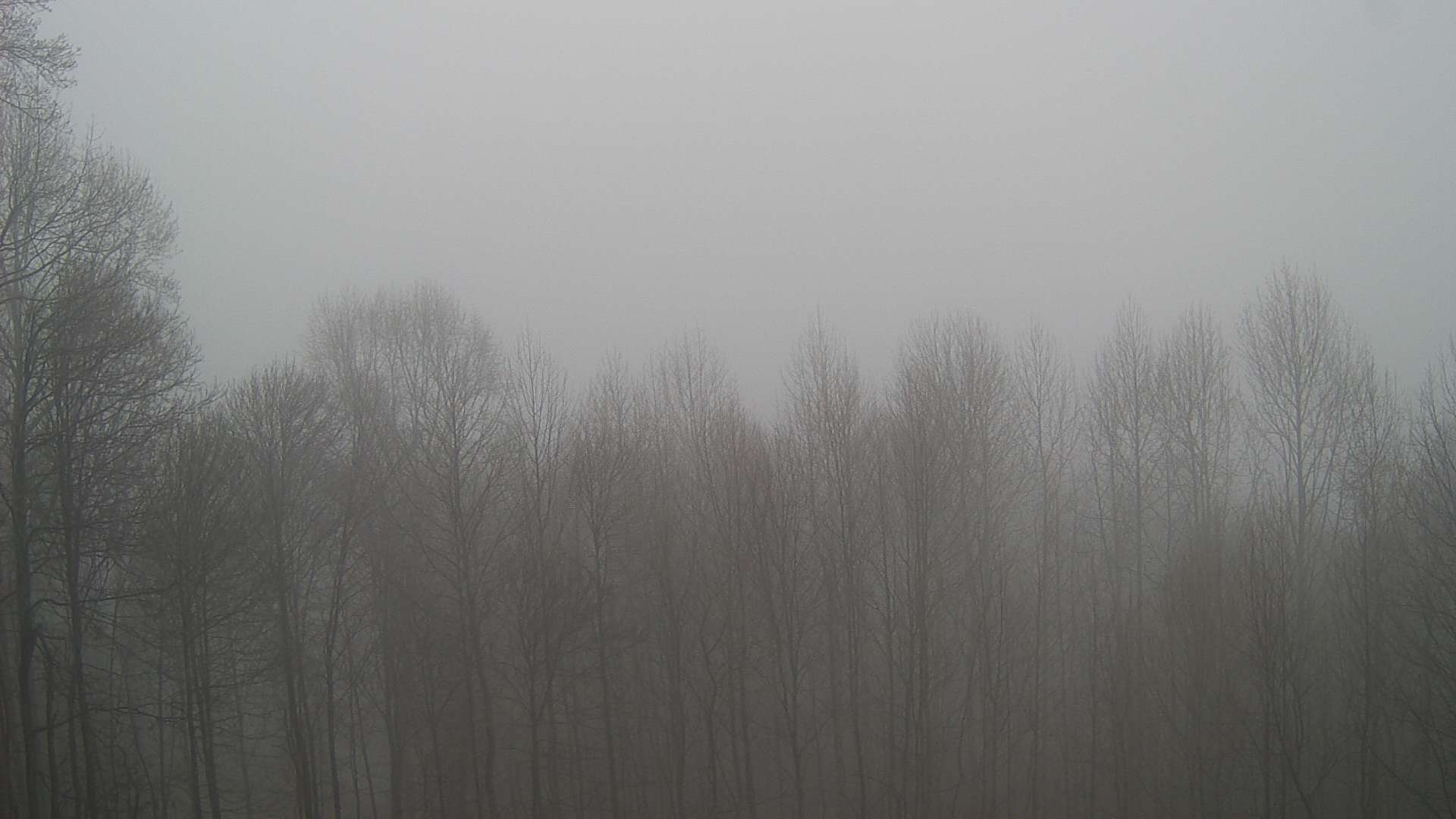 click for next image... slideshow image