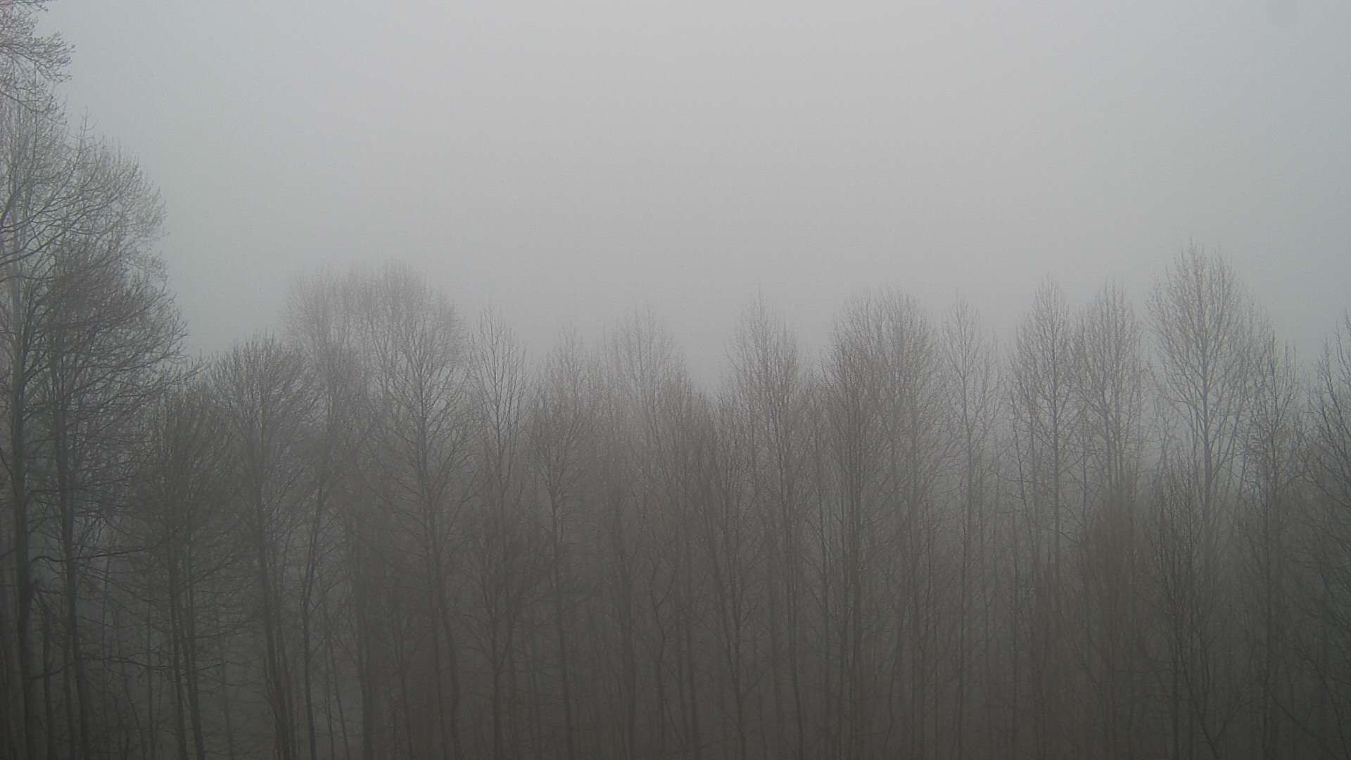 click for next image... slideshow image