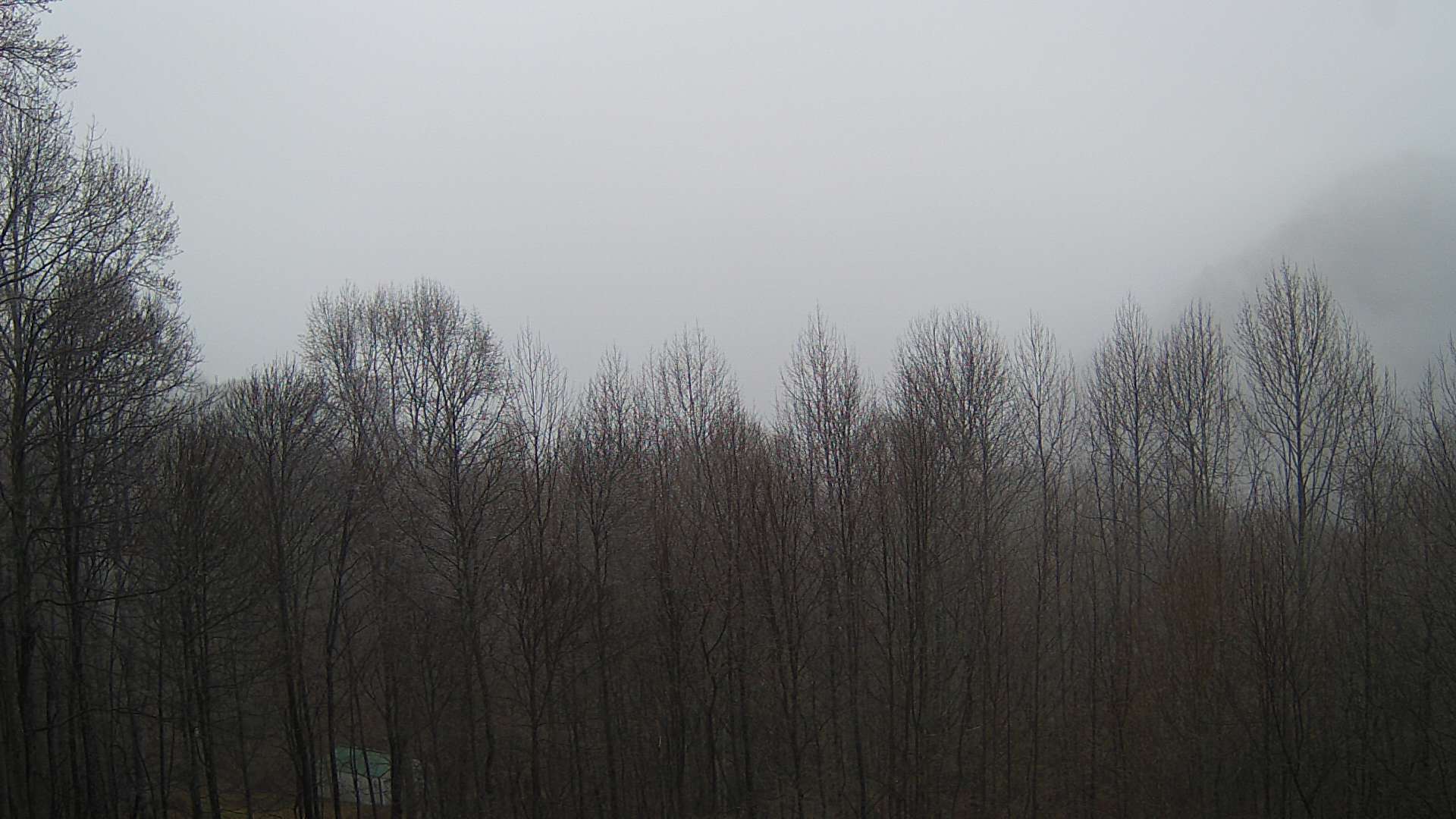 click for next image... slideshow image