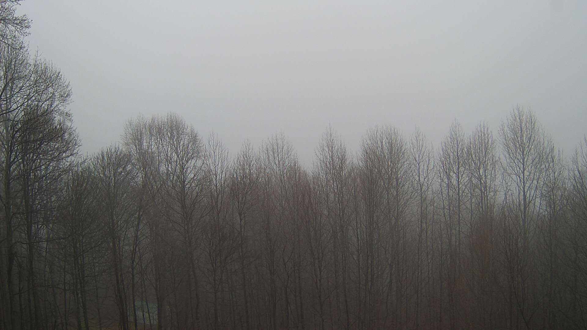 click for next image... slideshow image