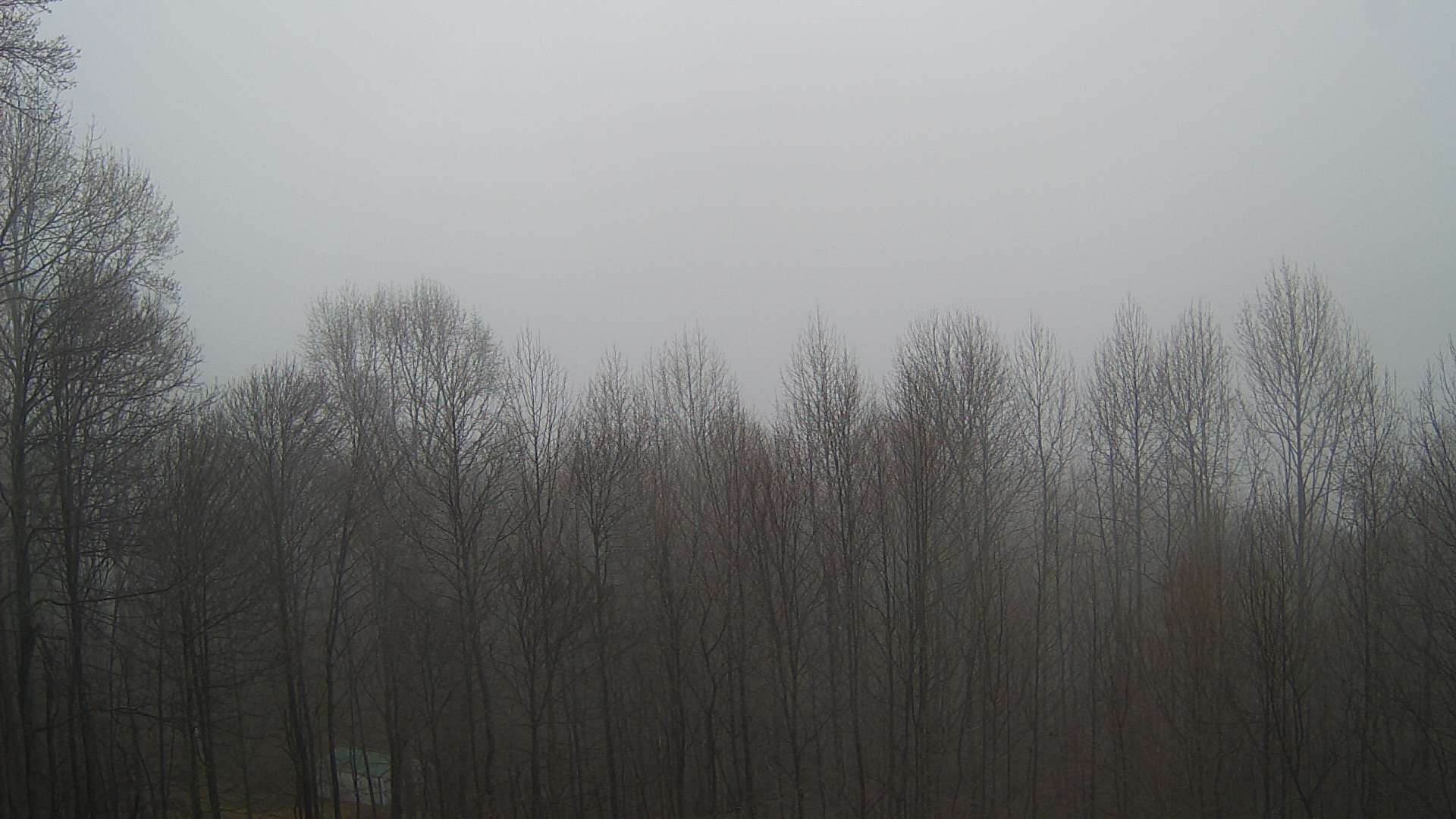 click for next image... slideshow image