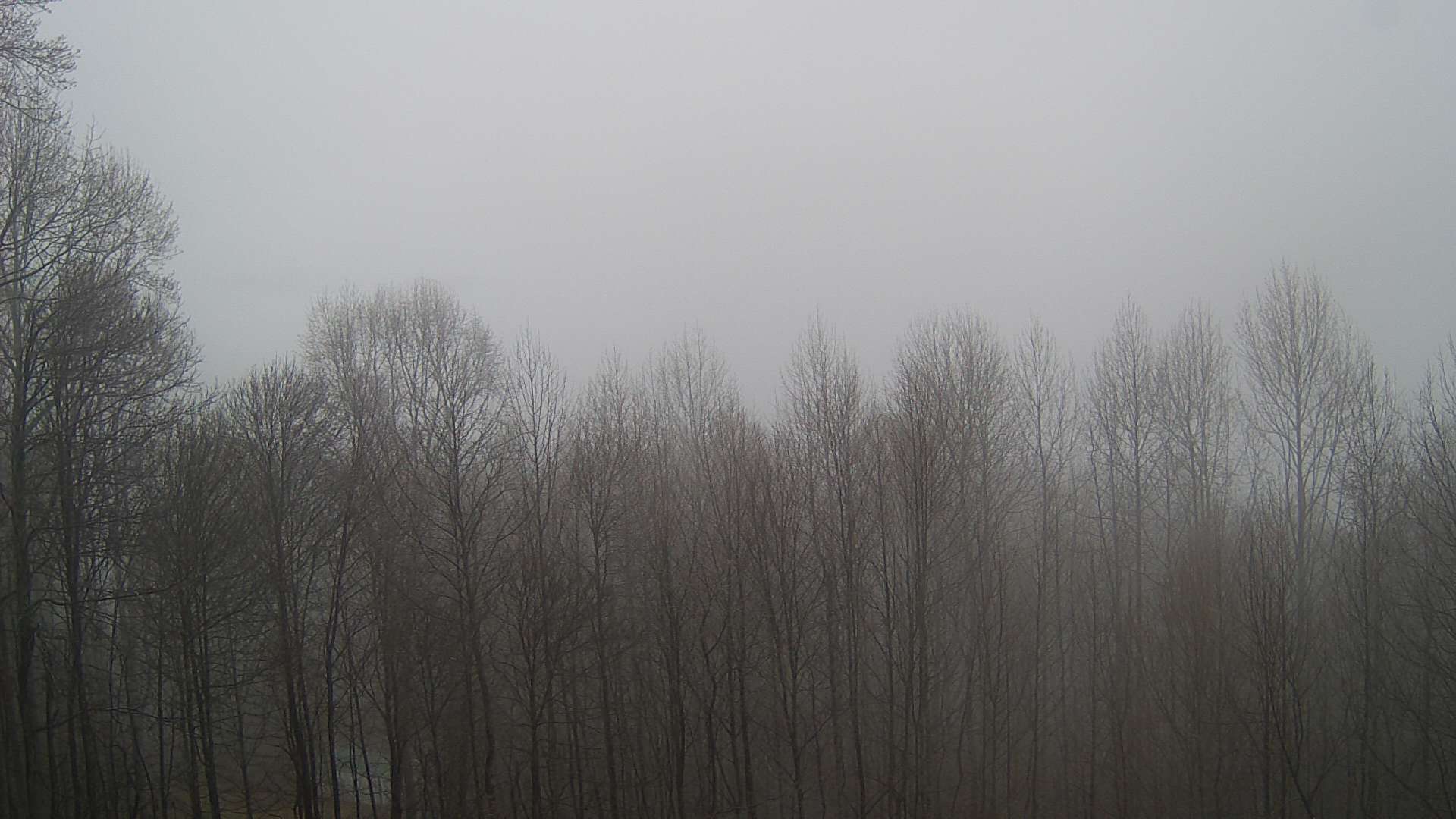 click for next image... slideshow image