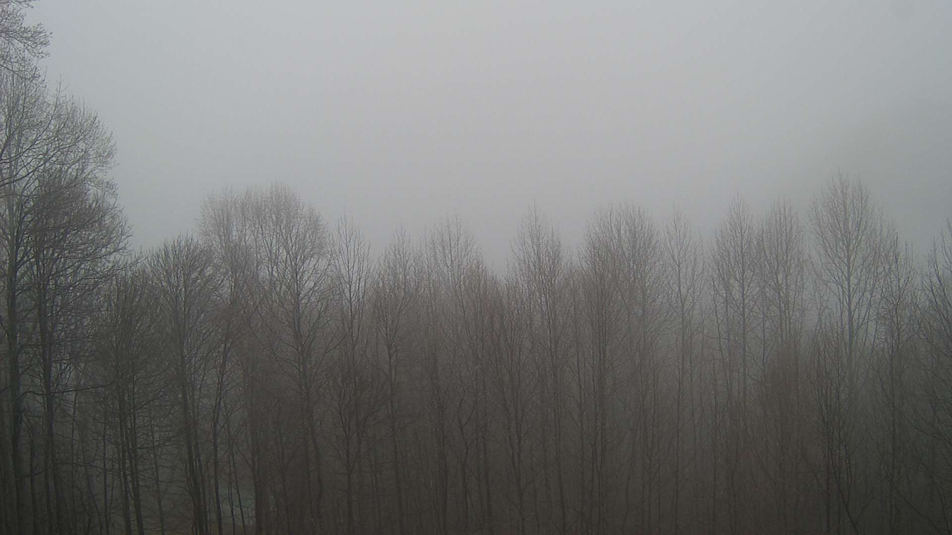 click for next image... slideshow image