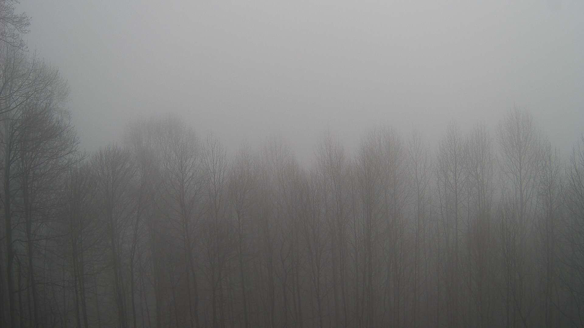 click for next image... slideshow image