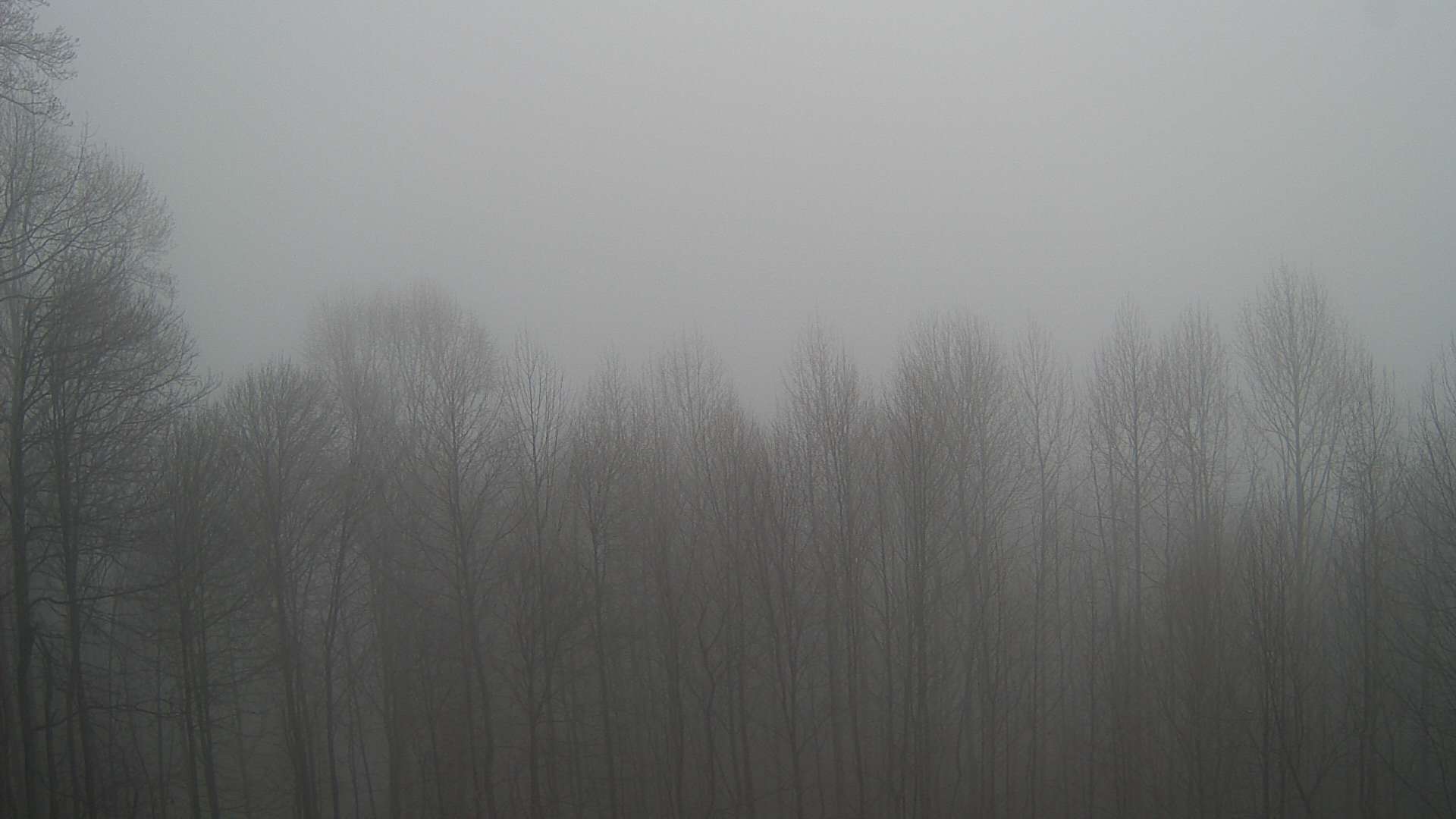 click for next image... slideshow image