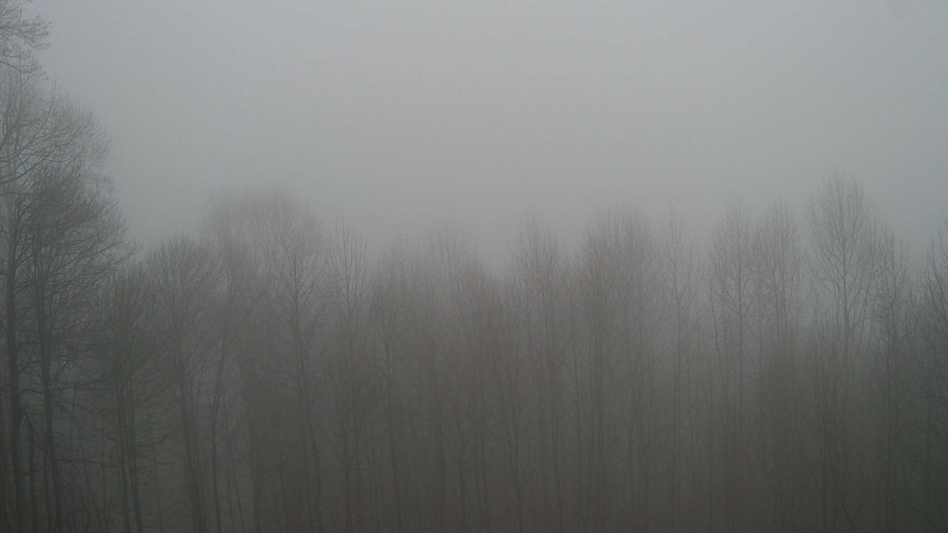 click for next image... slideshow image